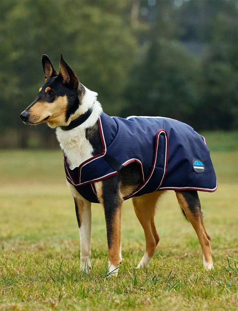 WeatherBeeta Outdoor coats WeatherBeeta ComFiTec Premier Deluxe Waterproof Dog Coat WeatherBeeta ComFiTec Premier Deluxe Waterproof Dog Coat