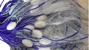 Mullet Net 90mm & 100mm 20m 30m 40m 60m 100m x 1.4M Deep – view 1