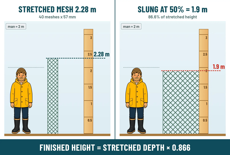 Action Fishing Nets Bait Herring Nets 0.35mm 20M to 100m Herring Bait Fishing Nets 2.25 inch 20M To 100M Herring Bait Nets 2.25 Inch Mesh