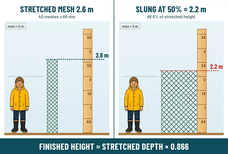 Action Fishing Nets Bait Herring Mesh Unslung AFM-5 0.5MM unslung 2.5 inch mesh 40 MD 245M length Snow white AFM-5 0.5mm Unslung 2.5 Inch Mesh Snow White Net