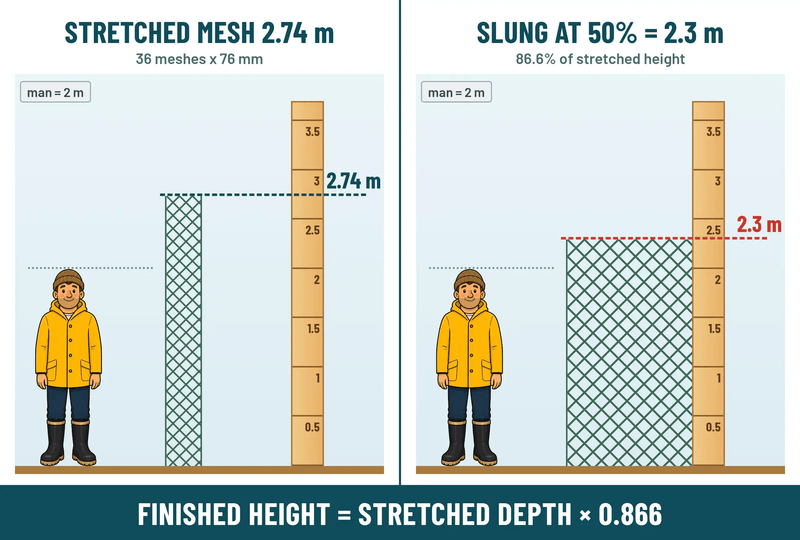 Action Fishing Nets Bait Herring Mesh Unslung AMF-7 3 Inch 0.5mm X 36md Pacific Island Mesh x 120M AMF-7 3 Inch 0.5mm X 36md Pacific Island Mesh x 120M - NZ