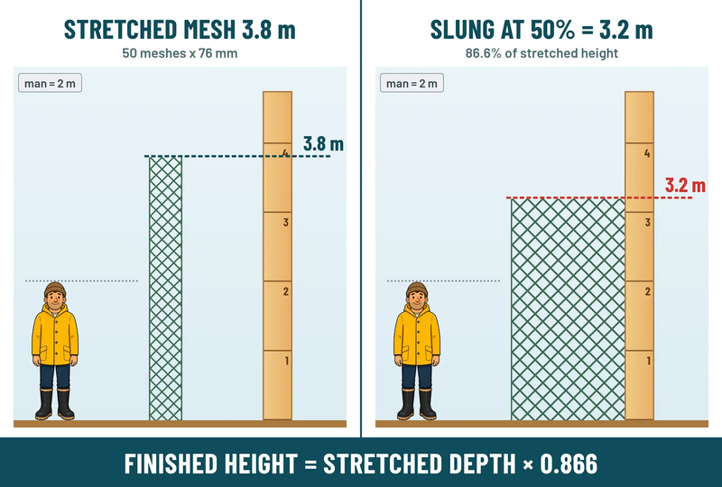Action Fishing Nets Bait Herring Nets 0.35mm Action Fishing Nets Herring Bait Fishing Nets, Precision 2 To 3 Inch Mesh, Custom 10 To 100m, For NZ And Pacific Anglers NZ Made Herring Bait Nets 2 to 3 Inch Mesh