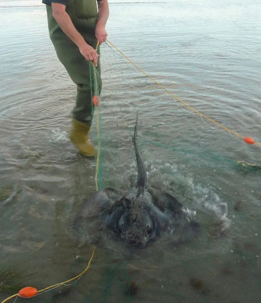 Action Fishing Nets Flounder Nets DIY Flounder Net Multi Mono - Floats on Top Rope DIY Flounder Net Kit Multi Mono Floats On Top Rope