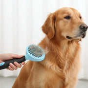 dealonline.co.nz dealonlinenz Self Cleaning Pet/Dog/Cat Grooming Brush BLUE Self Cleaning Pet/Dog/Cat Grooming Brush BLUE