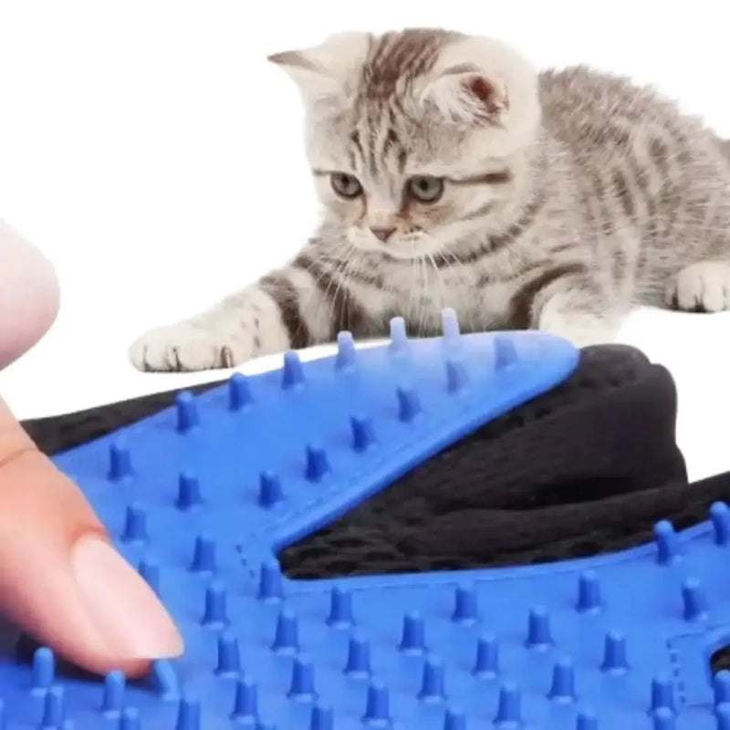 Habicare SS Pet Grooming Gloves (1/2PCS) – Two-Sided Hair Removal Pet Grooming Gloves (1/2PCS) – Two-Sided Hair Removal