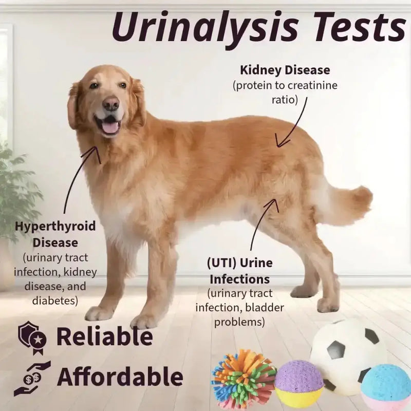 Habicare 9eight5 Pet Urine Testing Strips (x 100) Habicare Pet Urine Test Strips - 100 Count