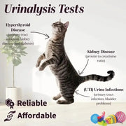 Habicare 9eight5 Pet Urine Testing Strips (x 100) Habicare Pet Urine Test Strips - 100 Count