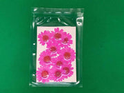 Resin Art NZ Real Dried Flower Real Dried Flower - Chrysanthemum Real Dried Flower - Chrysanthemum | Action Outdoors NZ