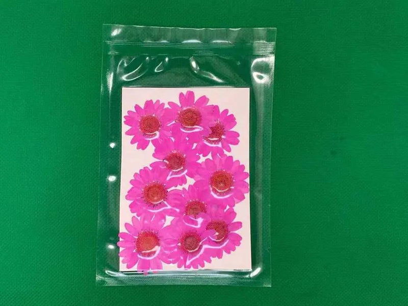 Resin Art NZ Real Dried Flower Real Dried Flower - Chrysanthemum Real Dried Flower - Chrysanthemum | Action Outdoors NZ