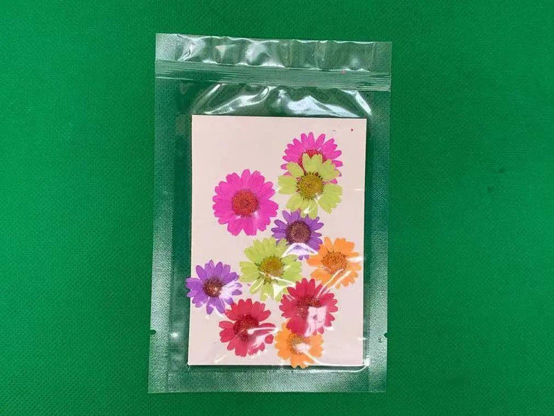 Resin Art NZ Real Dried Flower Real Dried Flower - Chrysanthemum Real Dried Flower - Chrysanthemum | Action Outdoors NZ