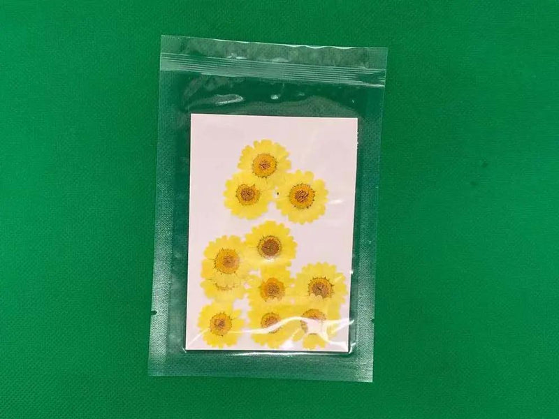 Resin Art NZ Real Dried Flower Real Dried Flower - Chrysanthemum Real Dried Flower - Chrysanthemum | Action Outdoors NZ
