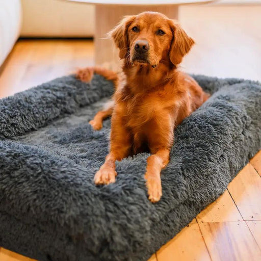 The Brooklyn Brooklyn® Memory Foam Bolster Bed Brooklyn® Memory Foam Bolster Bed