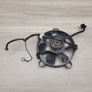 Motor Morgue Cooling Parts VTR250 (MC33) Radiator fan VTR250 (MC33) Radiator fan | Action Outdoors NZ