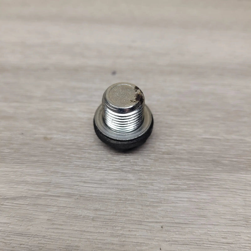 Motor Morgue Vehicle Parts GT250R EFI Sump bolt GT250R EFI Sump bolt | Action Outdoors NZ