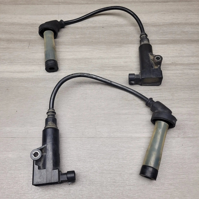 Motor Morgue Vehicle Parts GT250R EFI Coils GT250R EFI Coils | Action Outdoors NZ
