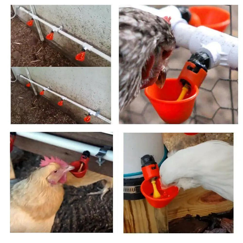 Automatic Poultry Water Drinking Cups for Chickens and Birds – view 4