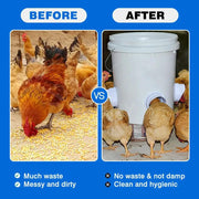 Automatic Chicken Feeders Poultry Gravity Fed Chicken Feeder – view 5