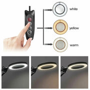 salelink.co.nz Unbranded Magnifying Lamp Desk Light Magnifying Lamp Desk Light - Metal | Action Outdoors NZ