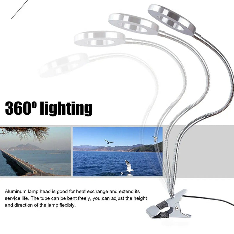 salelink.co.nz Unbranded 8X Magnifying Lamp Desk Table Magnifier Light 8X Magnifying Ring Light Desk Lamp With Clip 10W LED