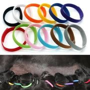 salelink.co.nz Unbranded 12 Colours Pet Whelping ID Collar Bands 12 Colors Whelping ID Collar Bands for Pets