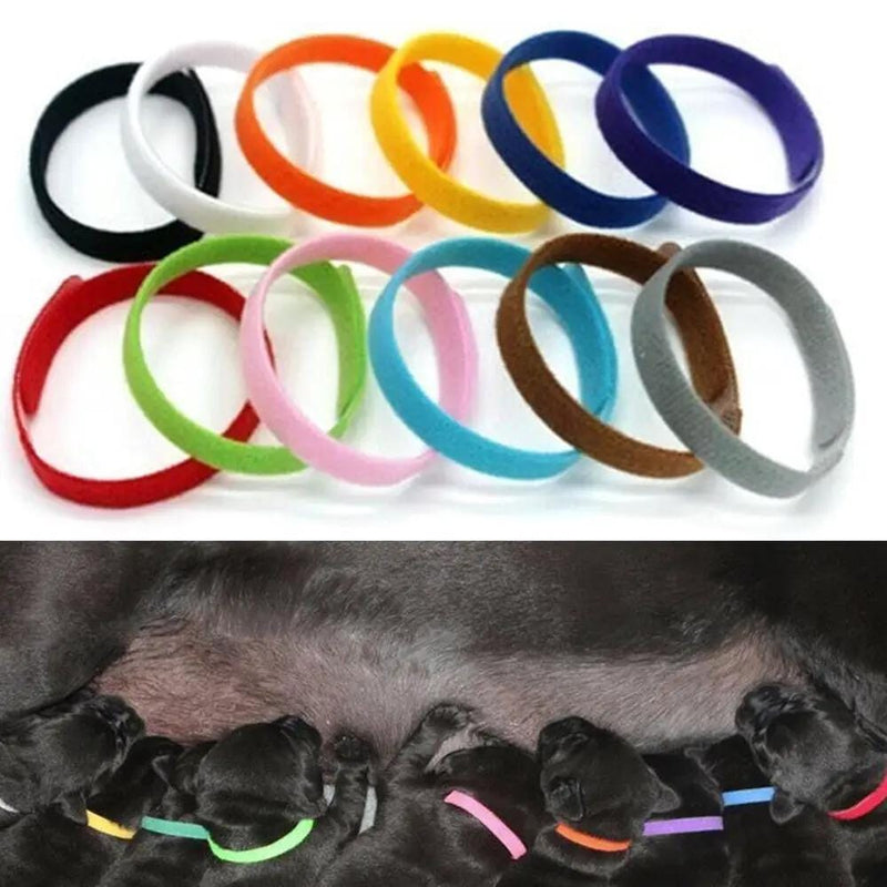 salelink.co.nz Unbranded 12 Colours Pet Whelping ID Collar Bands 12 Colors Whelping ID Collar Bands for Pets