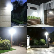 Habicare SS Solar Pathway Lights with Motion Sensor Solar Pathway Lights with Motion Sensor