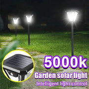Habicare SS Solar Pathway Lights with Motion Sensor Solar Pathway Lights with Motion Sensor