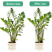 Habicare SS Sturdy Metal Outdoor Plant Support Stakes (2pcs) Sturdy Metal Outdoor Plant Support Stakes (2pcs)