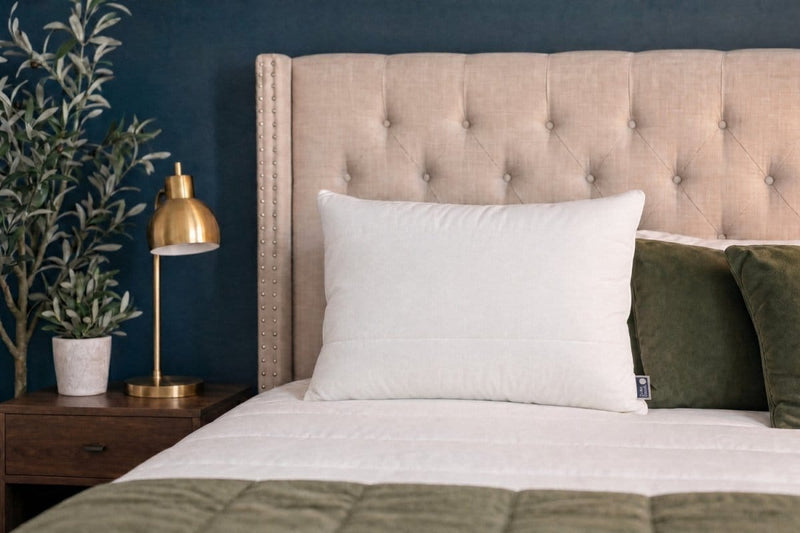 Do Not Disturb Sleep Company Pillow Super Soft Hybrid Pillow Super Soft Hybrid Pillow | NZ