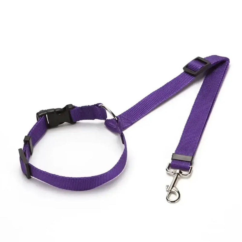 Vehcile Belt & Adjustable Nylon Leash for Dogs (7 colors available) – view 16