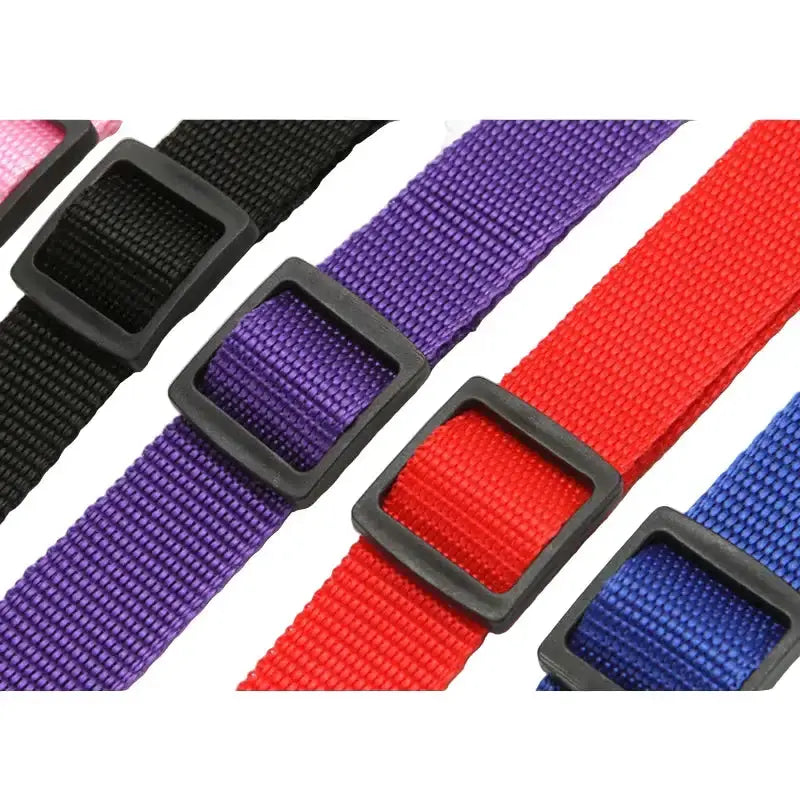Vehcile Belt & Adjustable Nylon Leash for Dogs (7 colors available) – view 8