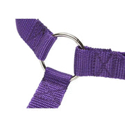 Vehcile Belt & Adjustable Nylon Leash for Dogs (7 colors available) – view 4