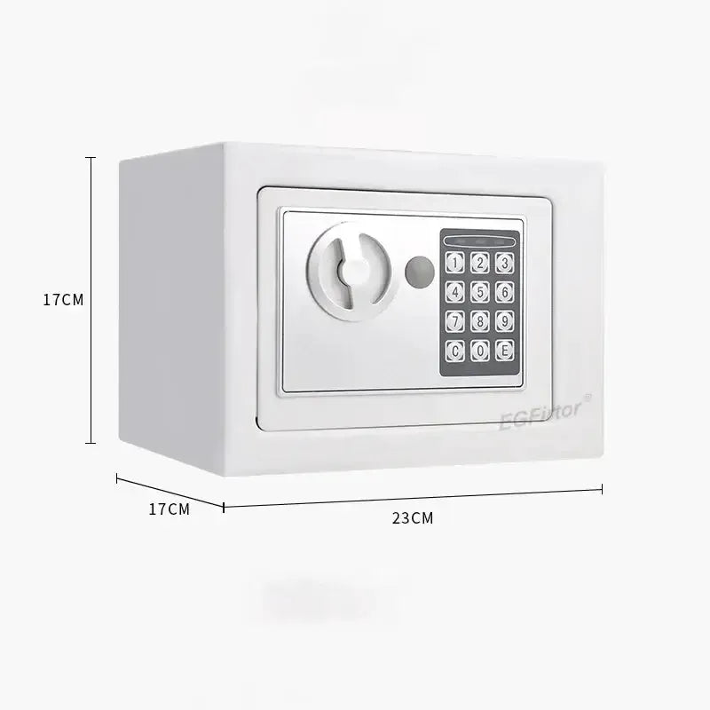 Habicare SS Wall-Mounted Password Safe with Alarm Wall-Mounted Password Safe with Alarm