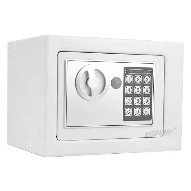 Habicare SS Wall-Mounted Password Safe with Alarm Wall-Mounted Password Safe with Alarm